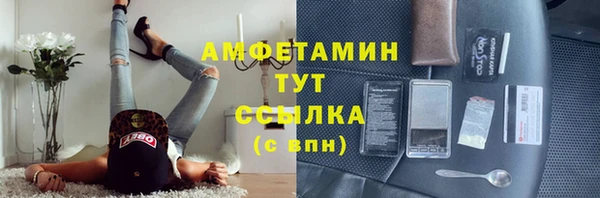 метадон Алексин